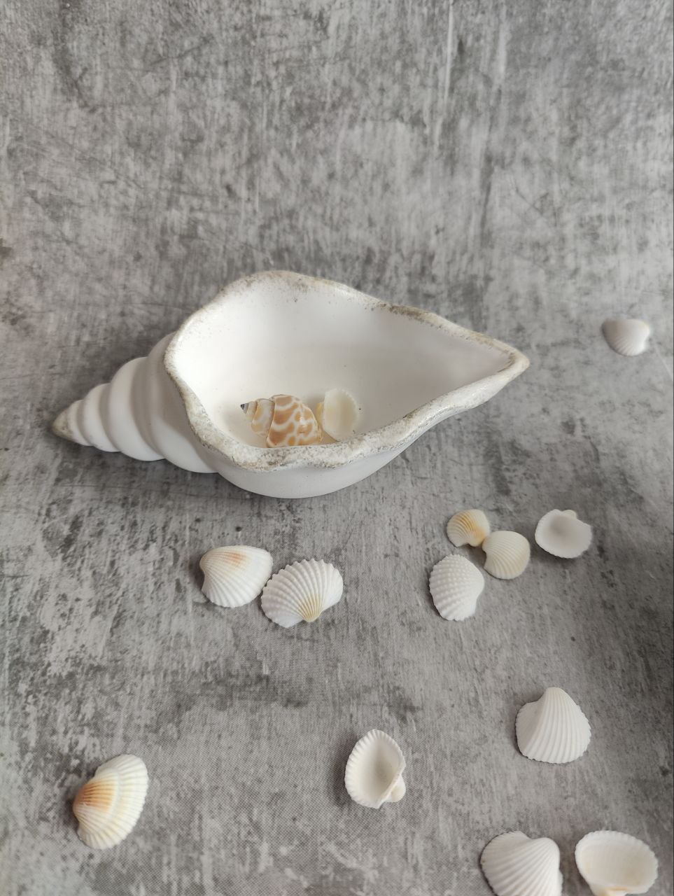 Coastal Wave Shell Trinket Dish