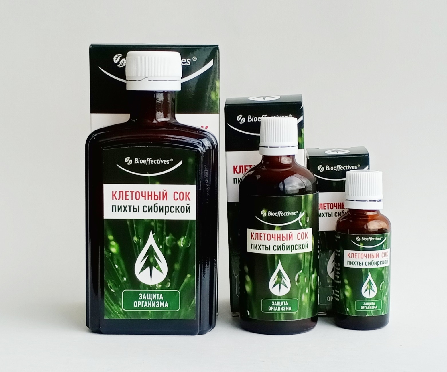 Siberian Fir Extract – Natural Wellness Supplement